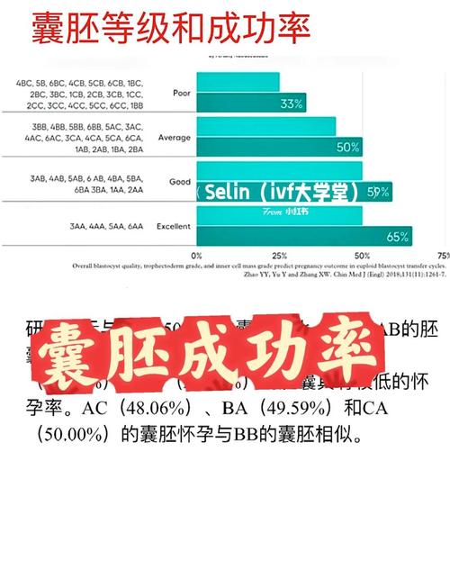 试管助孕可以冷冻胚胎吗？北京专业机构深度解析与实操指南